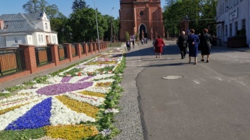 Parafianie z Krzymowa tworzą swój kwiatowy dywan na Boże Ciało
