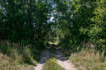 1627756251-i7fs3w-_mg_3377.jpg