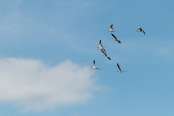 1627756254-zclspq-_mg_3415.jpg
