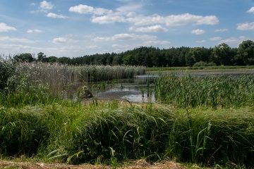 1627756253-jg1sss-_mg_3426.jpg