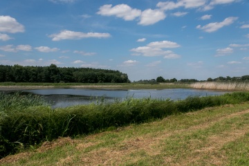 1627756253-tgvjod-_mg_3425.jpg