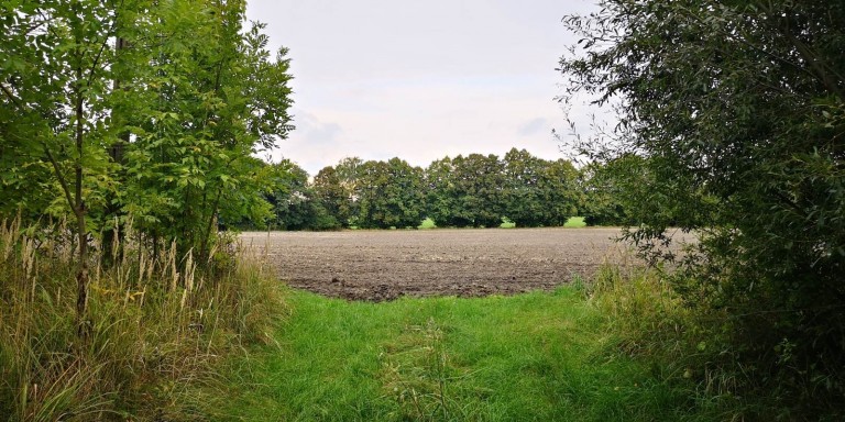 Sześćset pogrzebów rocznie i tylko tysiąc miejsc na cmentarzu w Koninie
