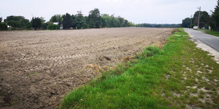 Sześćset pogrzebów rocznie i tylko tysiąc miejsc na cmentarzu w Koninie