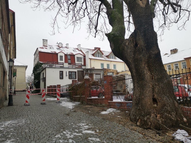 Przez pożar starego jesiona ul. Wodna jest nieprzejezdna