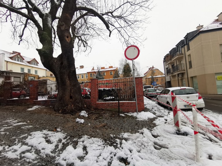 Przez pożar starego jesiona ul. Wodna jest nieprzejezdna