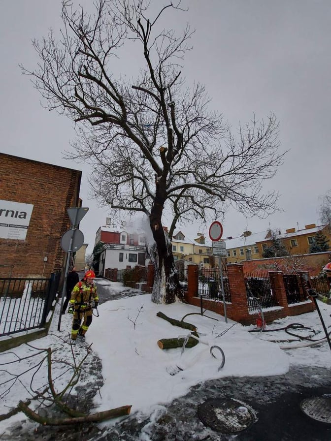 Przez pożar starego jesiona ul. Wodna jest nieprzejezdna