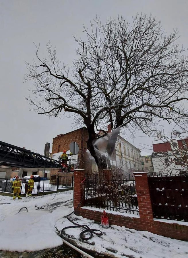Przez pożar starego jesiona ul. Wodna jest nieprzejezdna
