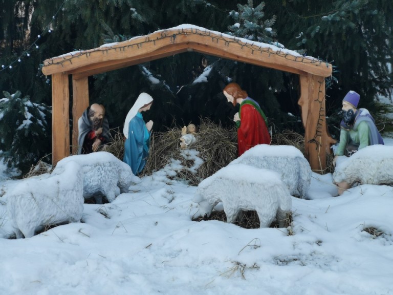 Pójdźmy wszyscy do stajenki! Szopki w konińskich parafiach