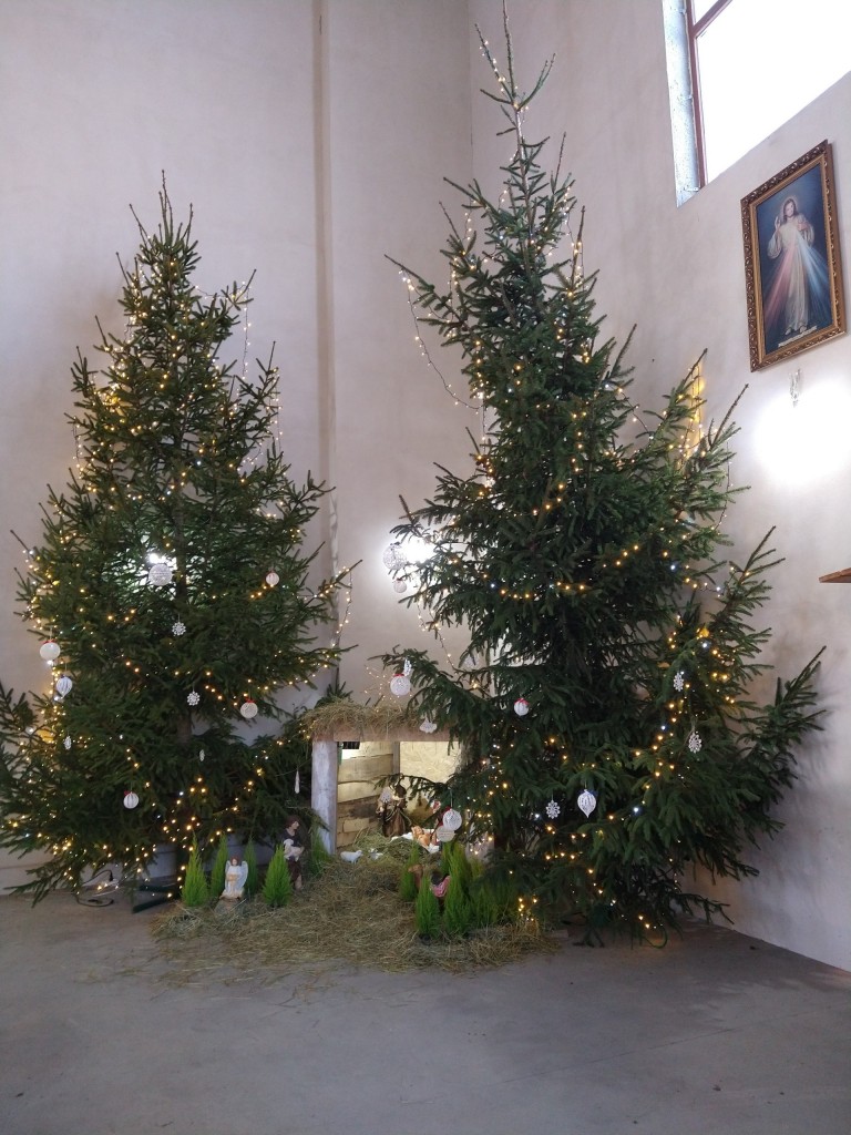 Pójdźmy wszyscy do stajenki! Szopki w konińskich parafiach