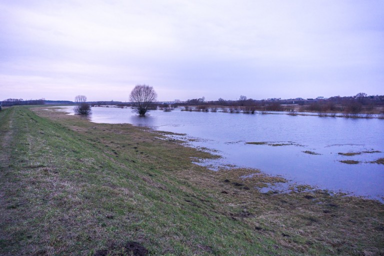 Podnosi się poziom rzek. Ostrzeżenia na wschodzie, w Sławsku nie działa prom
