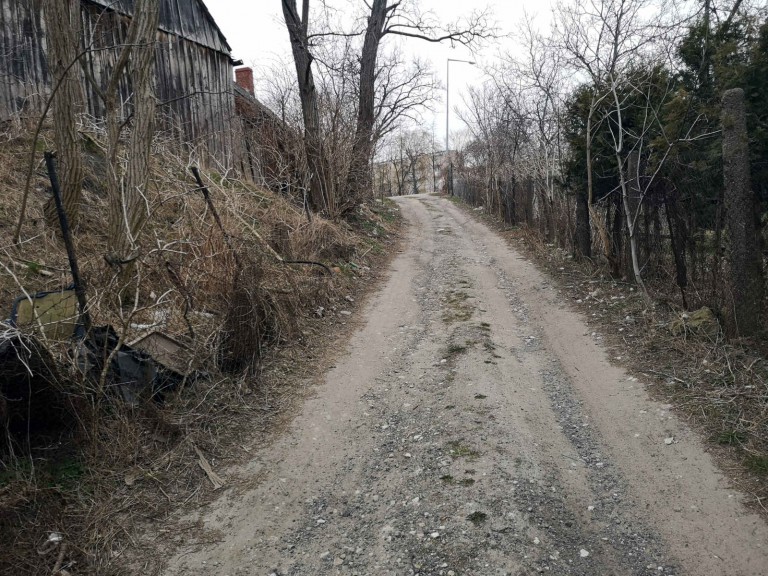 Ludwig Lausch. Człowiek, który zastrzelił dziecko za kradzież organek