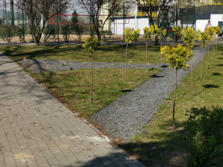 Zatorze pięknieje. Podświetlana fontanna między blokami