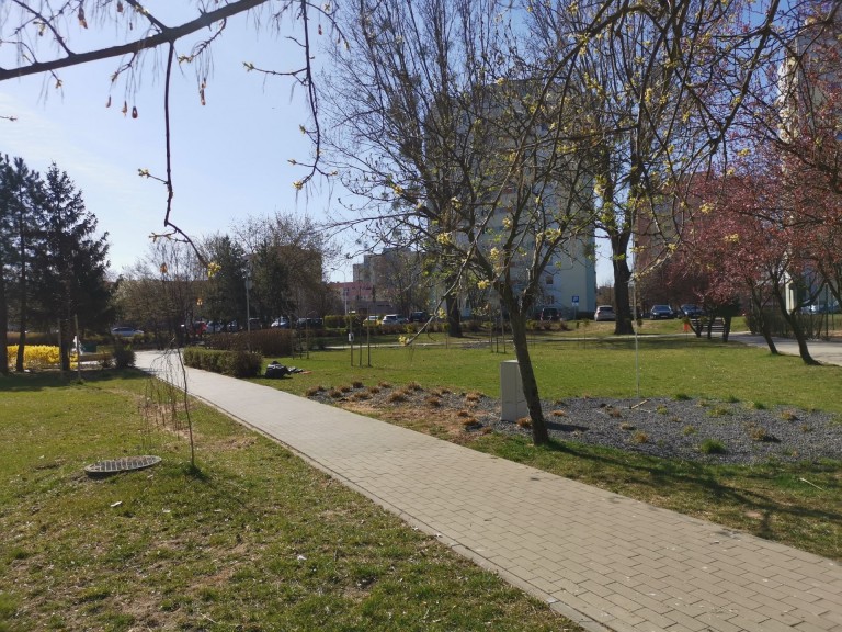 Zatorze pięknieje. Podświetlana fontanna między blokami