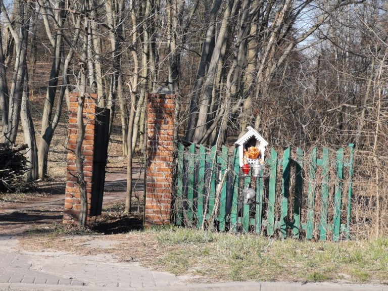 Jan Sznajder w poszukiwaniu 