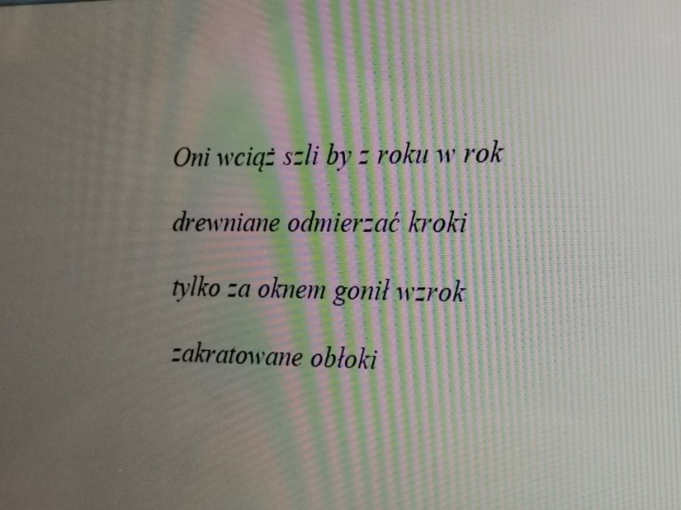 Jan Sznajder w poszukiwaniu 