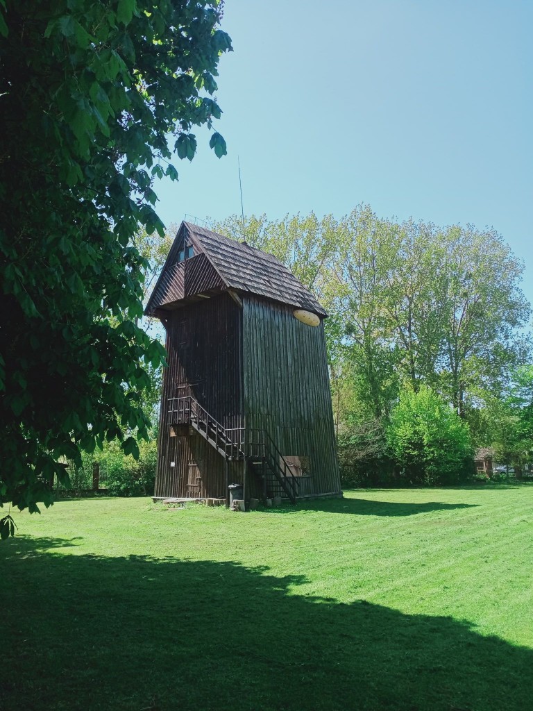 Dom dla jerzyków na muzealnym wiatraku