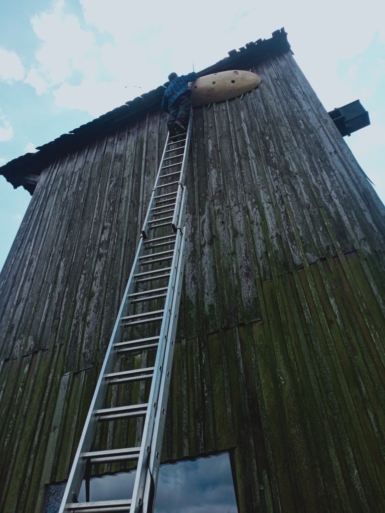 Dom dla jerzyków na muzealnym wiatraku