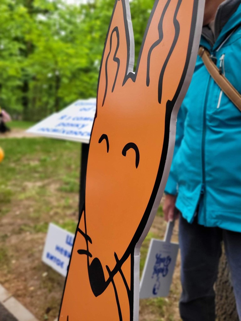 Lisek Ibisek w Dniu Dziecka obchodzi pierwsze urodziny