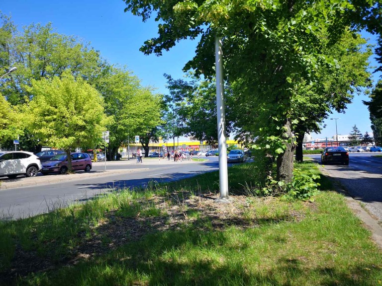 Co wypadki na drogach miały wspólnego z wędlinami, czyli tajemnice końskiej jatki