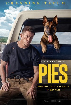 Kino pod gwiazdami- Pies