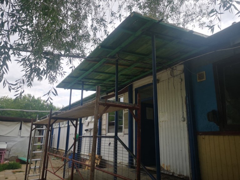 Trwa sezon na porzucane kocięta i szczenięta. Schronisko potrzebuje wsparcia!