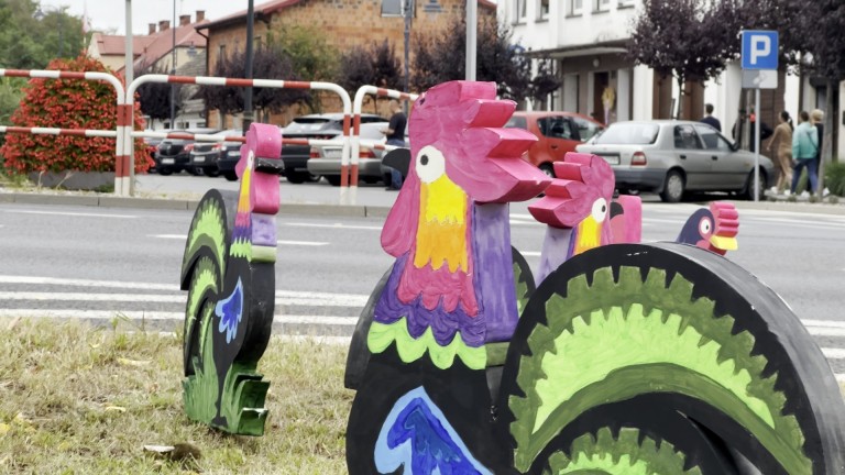 KB DOŻYNKI GALERIA 2022