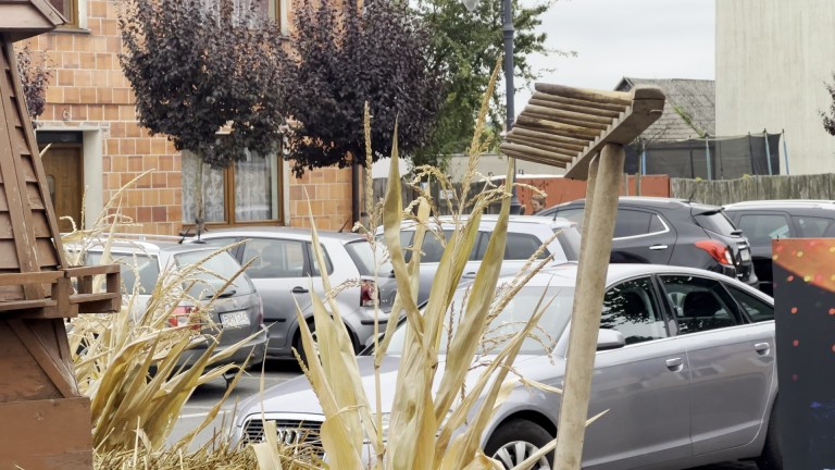 KB DOŻYNKI GALERIA 2022