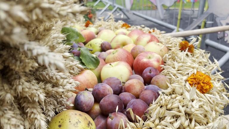 KB DOŻYNKI GALERIA 2022