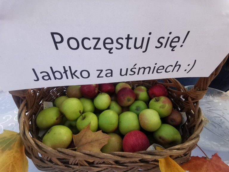 Piknik Konińskiego Pyrka. Jesienna impreza w szczytnym celu