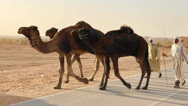 Boże Narodzenie w Afryce. Podróż kamperem w nieznane