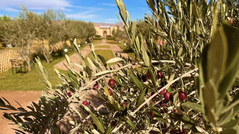 Boże Narodzenie w Afryce. Podróż kamperem w nieznane