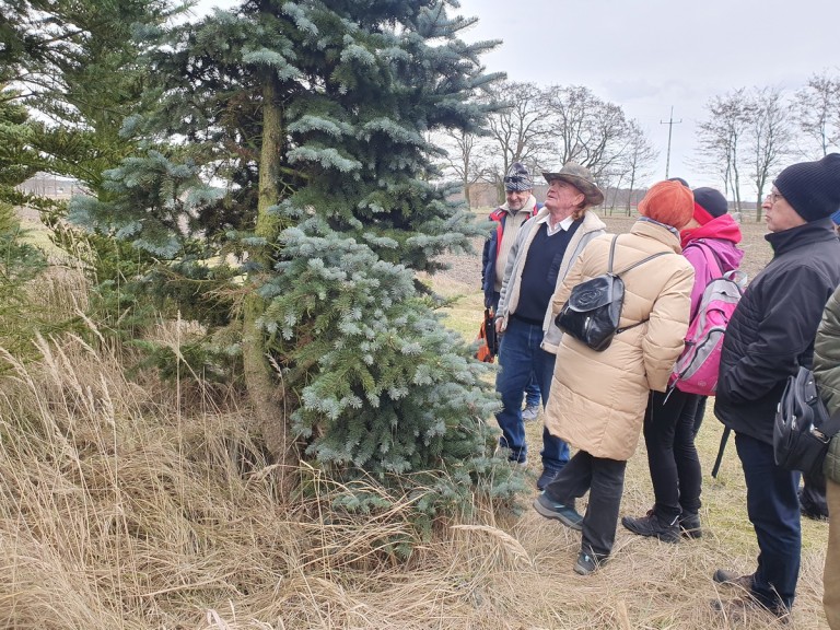 Wyszyna przywitała turystów z Konina. Na Spacerze Walentynkowym