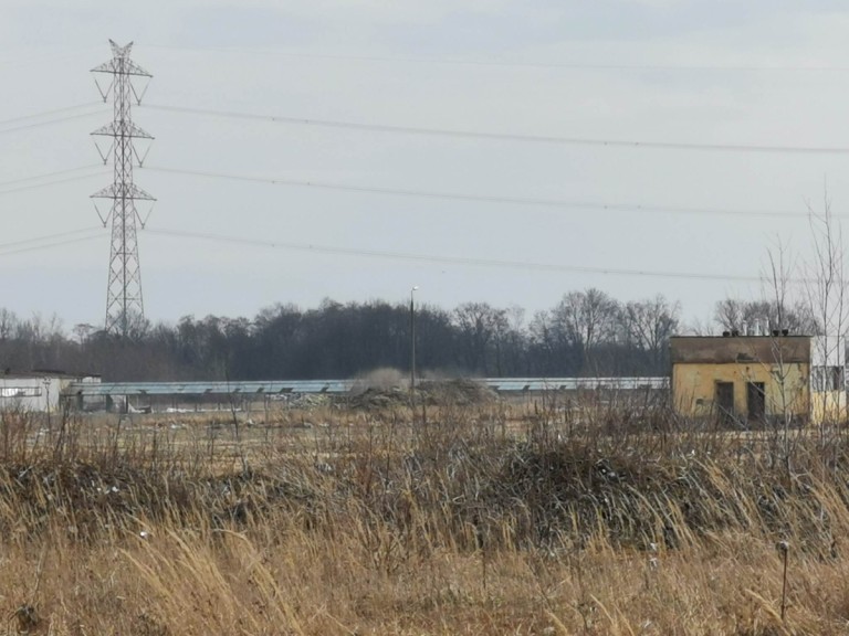 Władzimirów. Szklarnie znikają z powierzchni ziemi. Właściciel szuka inwestora