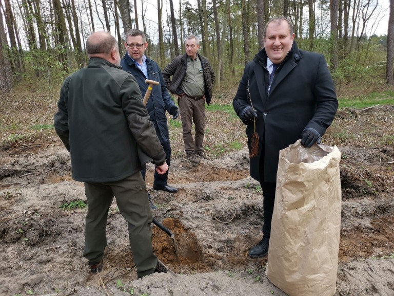 Zasadzili las pamięci Jana Pawła II. Akcja edukacyjna w Licheniu