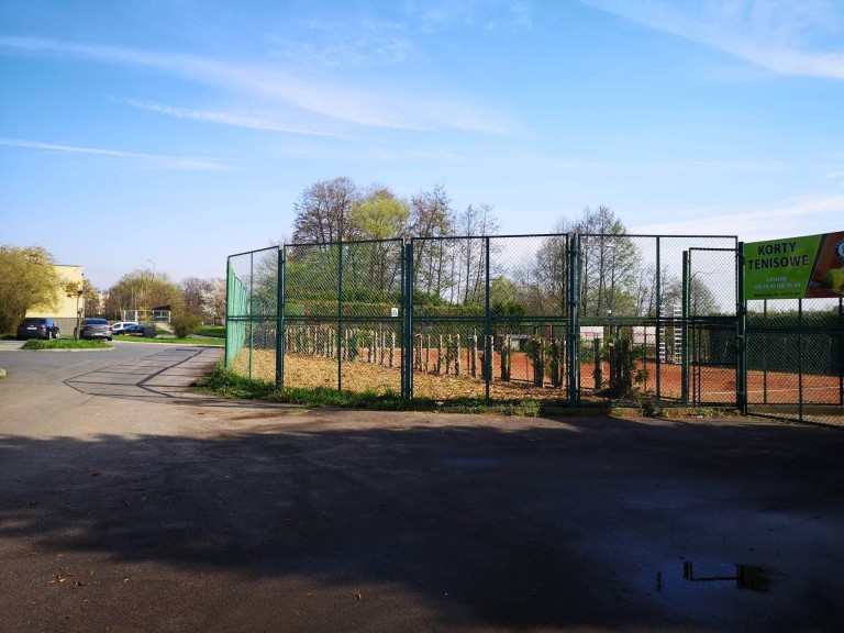 Kikuty zamiast zielonej ściany na konińskich kortach tenisowych
