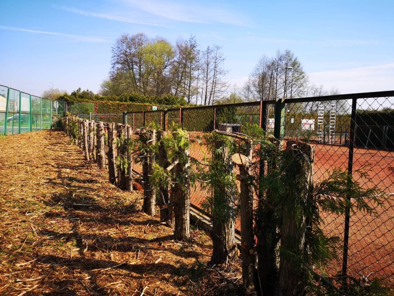 Kikuty zamiast zielonej ściany na konińskich kortach tenisowych