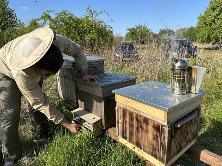 Pasieka Łężyn. W pszczelarskim świecie pełnym pracy i pasji