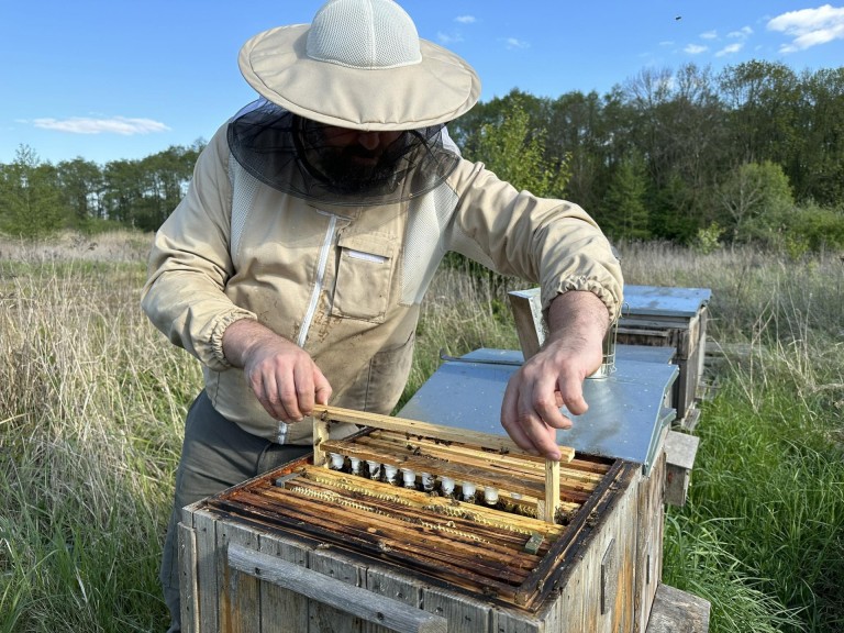 Pasieka Łężyn. W pszczelarskim świecie pełnym pracy i pasji