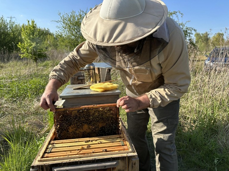 Pasieka Łężyn. W pszczelarskim świecie pełnym pracy i pasji