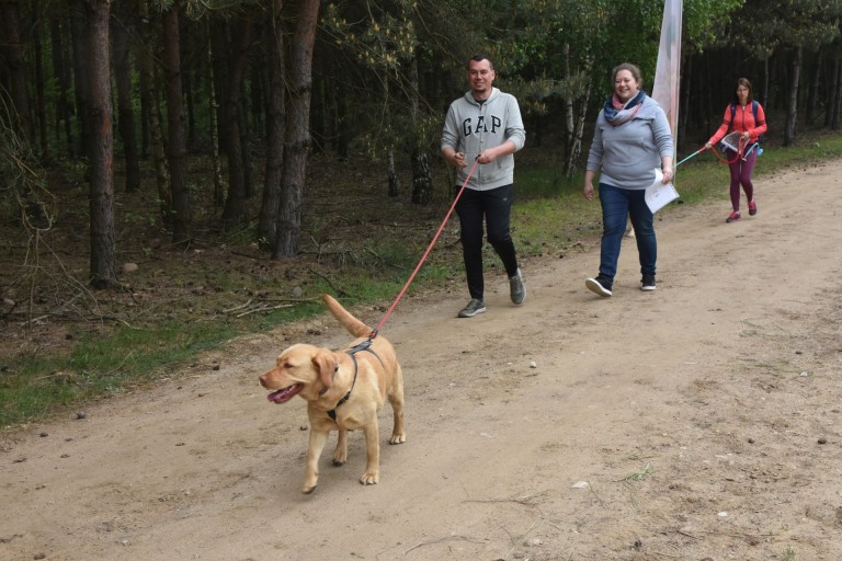 Aktywny wypoczynek z psem. Pierwszy amatorski dogtrekking w Tarnowej