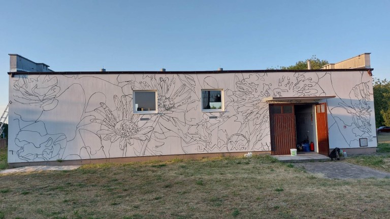 Kwiaty polskie ozdobą Wieruszewa. Powstaje sołecki mural