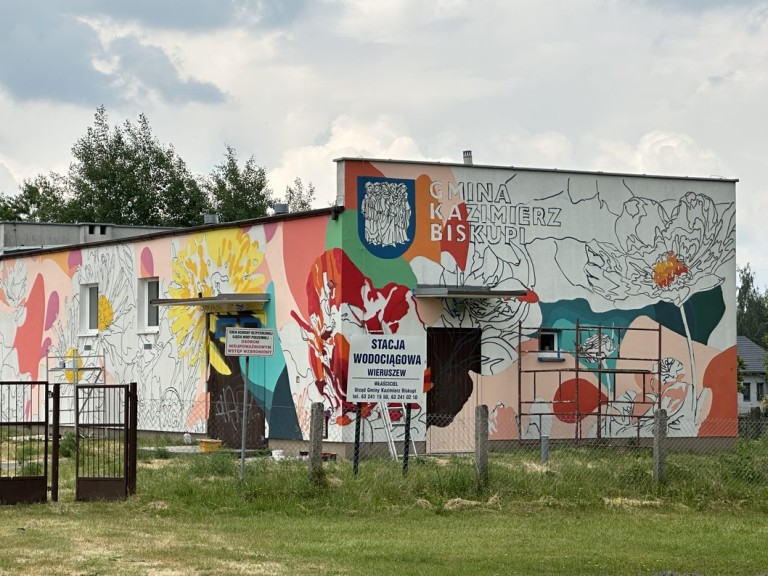 Kwiaty polskie ozdobą Wieruszewa. Powstaje sołecki mural