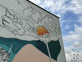 Kwiaty polskie ozdobą Wieruszewa. Powstaje sołecki mural