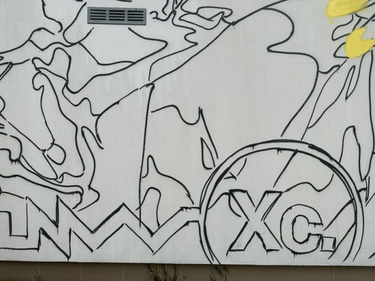 Kwiaty polskie ozdobą Wieruszewa. Powstaje sołecki mural