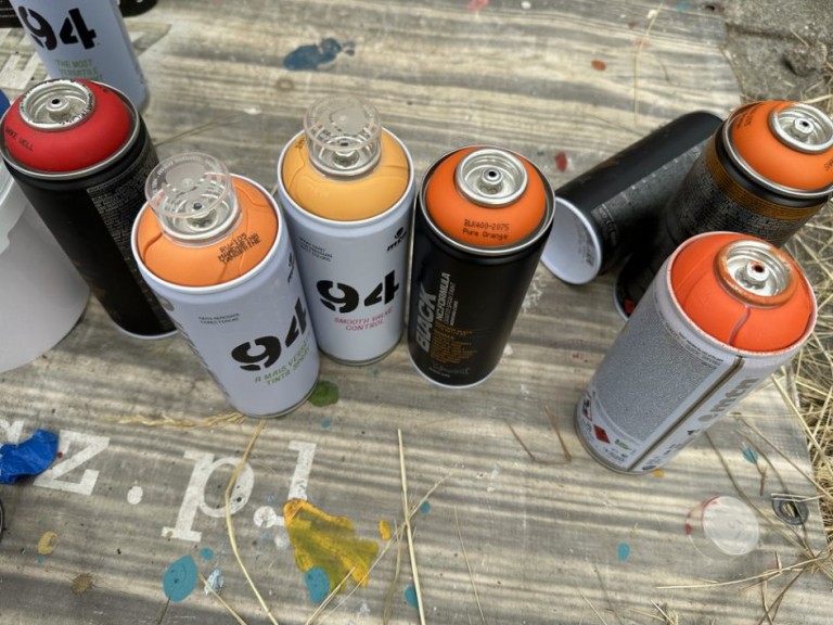 Kwiaty polskie ozdobą Wieruszewa. Powstaje sołecki mural