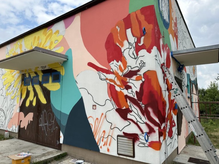 Kwiaty polskie ozdobą Wieruszewa. Powstaje sołecki mural