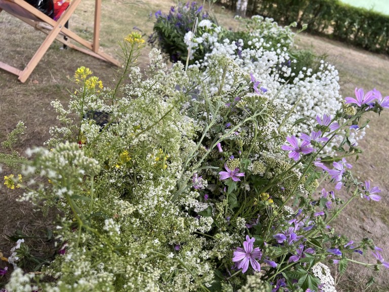 Roztańczony ogień i mistyczna aura. Noc Kupały w Kleczewie