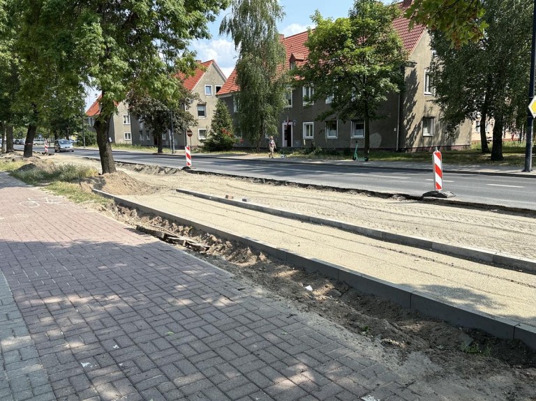 Drzewa kontra nowy dworzec w Koninie. Czy można pogodzić rozwój z ekologią?