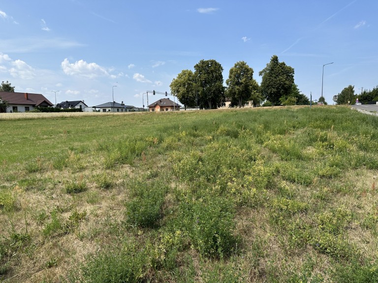 Tu na razie jest ściernisko, a będzie…nowoczesna szkoła!