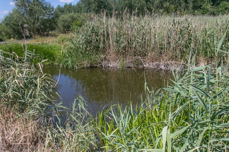 Budowa kładki na wyspę Pociejewo rozpoczęta. Pochłonie 25 mln zł
